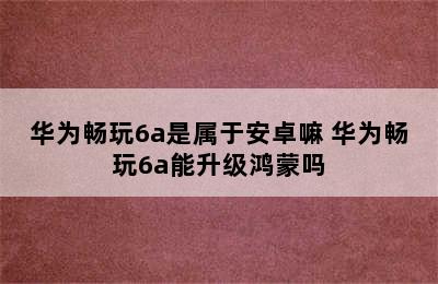 华为畅玩6a是属于安卓嘛 华为畅玩6a能升级鸿蒙吗